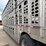 2010-wilson-livestock-image-43