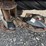 2016-new-holland-h7230-image-12