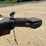 #222-•-2017-12'-tandem-axle-high-side-sport-warrior-trailer-(has-mn-title)-image-33