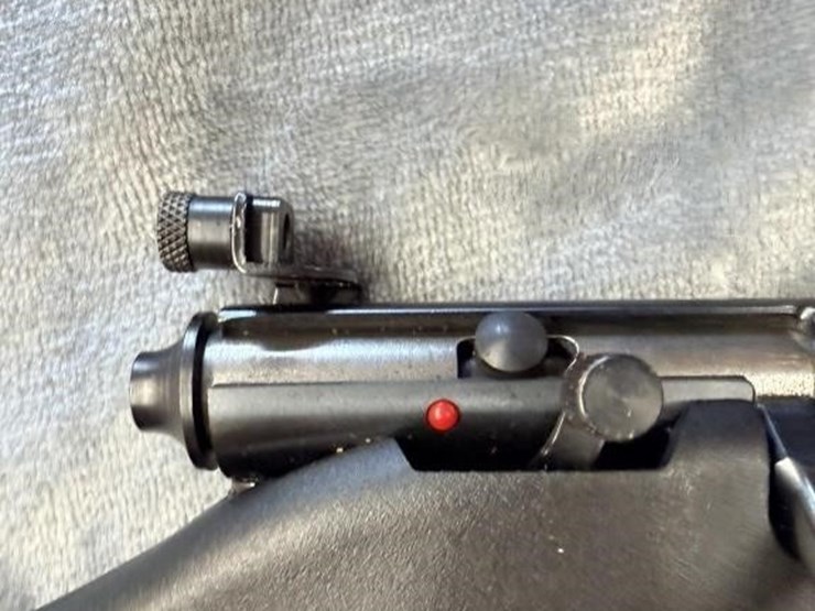 gs---savage-arms-savage-rascal-image-6