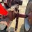 #300-•-1951-farmall-m-tractor-image-19