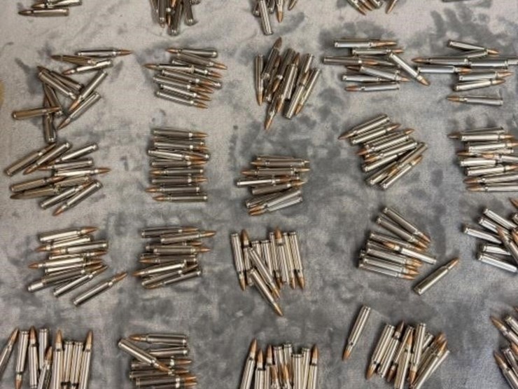 closet--.223-ammo-image-1
