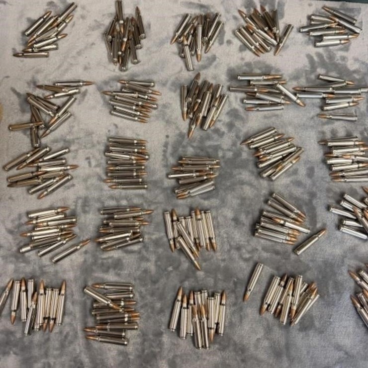 Closet- .223 Ammo