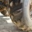#1231-•-2000-arctic-cat-4-wheeler-with-5'-moose-plow-image-55