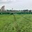 john-deere-rd45f-image-6