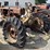 international-f20-image-3
