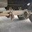 1997-stoughton-trailer-image-29