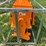 caterpillar-12-image-6