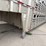 2010-wilson-livestock-image-15