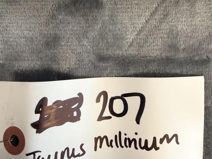 gs---taurus-millenium-g2-9mm-image-7