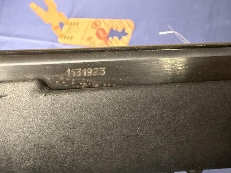 gs---savage-model-64-.22lr-image-4