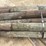 #3616-•-bundle-of-used-round-posts-image-7