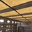 2016-wilson-livestock-trailer-image-64