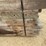 #3623-•-bundle-of-used-guard-rail-posts-image-11