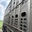 2010-wilson-livestock-image-31