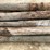 #3615-•-bundle-of-used-round-posts-image-7