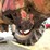#300-•-1951-farmall-m-tractor-image-55