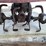 #3589-•-gilson-brothers-co.-tiller-image-18