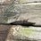#3636-•-bundle-of-used-guard-rail-posts-image-13