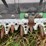 john-deere-rd45f-image-23