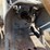 kubota-m5700-image-15
