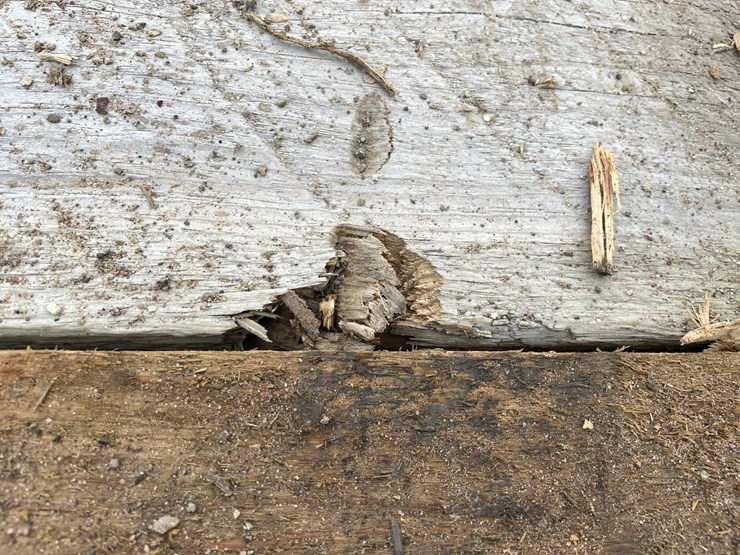#3637-•-bundle-of-used-guard-rail-posts-image-14