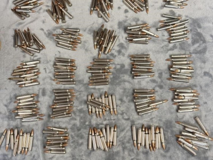 closet--.223-ammo-image-1