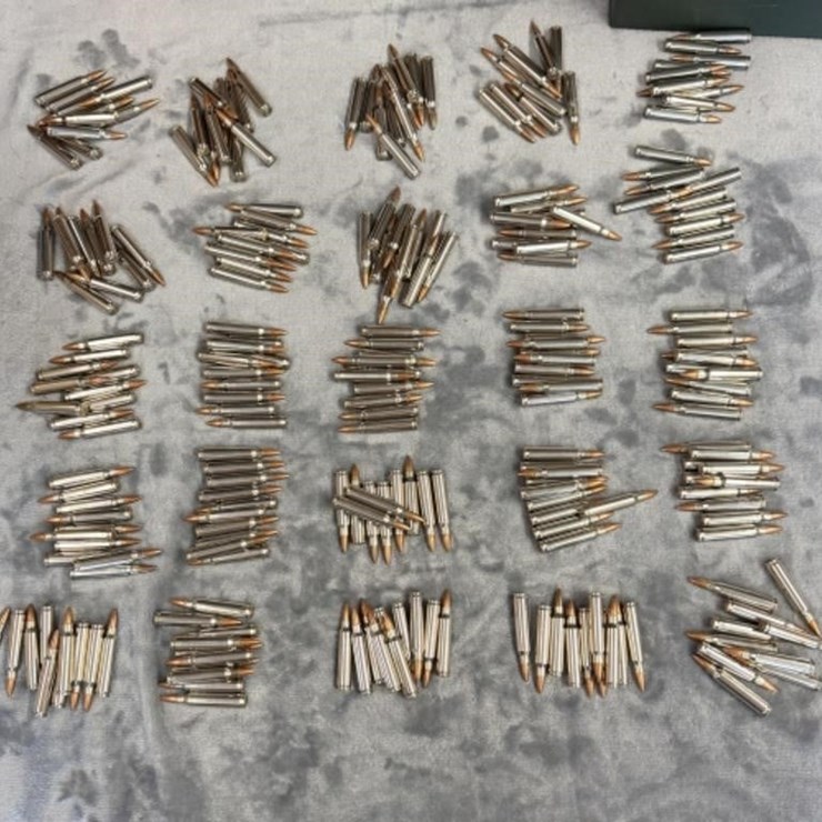 Closet- .223 Ammo