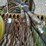 bestway-500-image-32