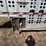 2012-eby-bull-ride-image-14