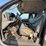 2007-ford-f250-image-17