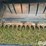 deutz-allis-r20-20’-platform-header-image-18