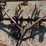 13-tine-3p-john-deere-chisel-plow,-12'-image-4