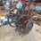 the-chandler-&-price-co.-printing-press-image-1