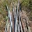 #2826-•-pile-of-scrap-metal-image-4