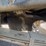 2019-kenworth-t880-image-65