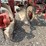 massey-ferguson-82-image-3
