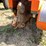 #7961-•-dka-power-opg777-stump-grinder-image-7