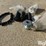 kinze-planter-replacement-parts-image-16