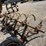 13-tine-3p-john-deere-chisel-plow,-12'-image-3