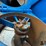 2019-brandt-1522dxr-image-14