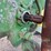 yanmar-ym2200-image-17