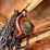 #7971-•-(2)-chain-hoists-image-6