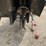 #9782-•-future-skid-steer-stump-grinder-attachment-image-7