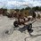 m&w-8-wheel-image-6