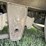2000-custom-trailer-image-39