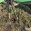 john-deere-2800-image-14