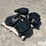 challenger-mt-765e-suitcase-weights-image-1