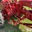 mccormick-farmall-a-2wd-tractor-w/plow-no.-87-image-13