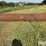 2'-x-12'-steel-culvert-tube-image-2